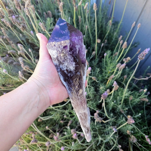 Elestial Amethyst Root Point - Natural Healing Crystal