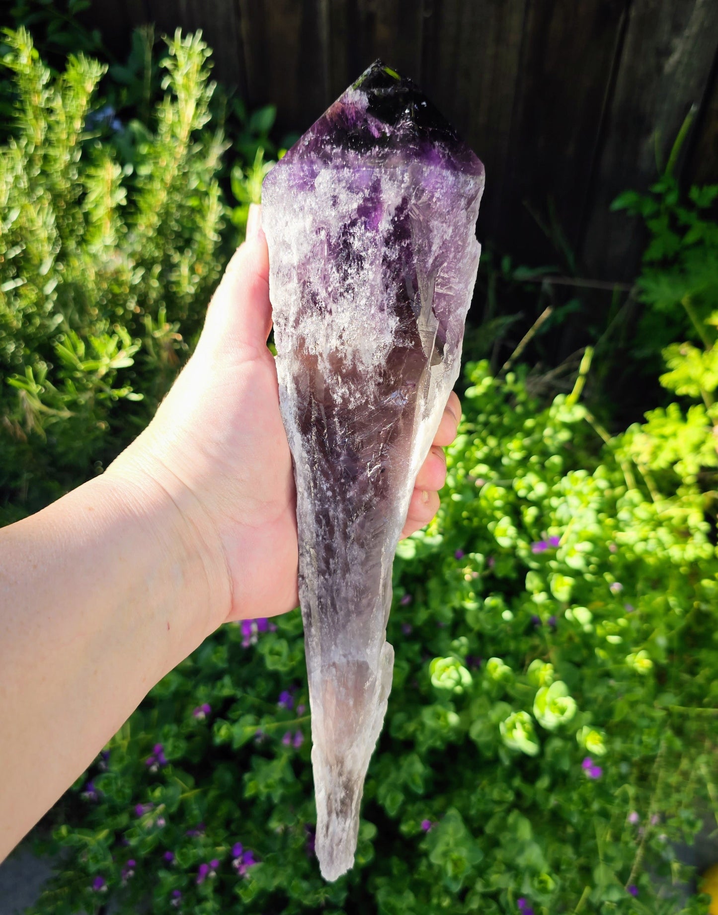 Elestial Amethyst Root Point - Natural Healing Crystal