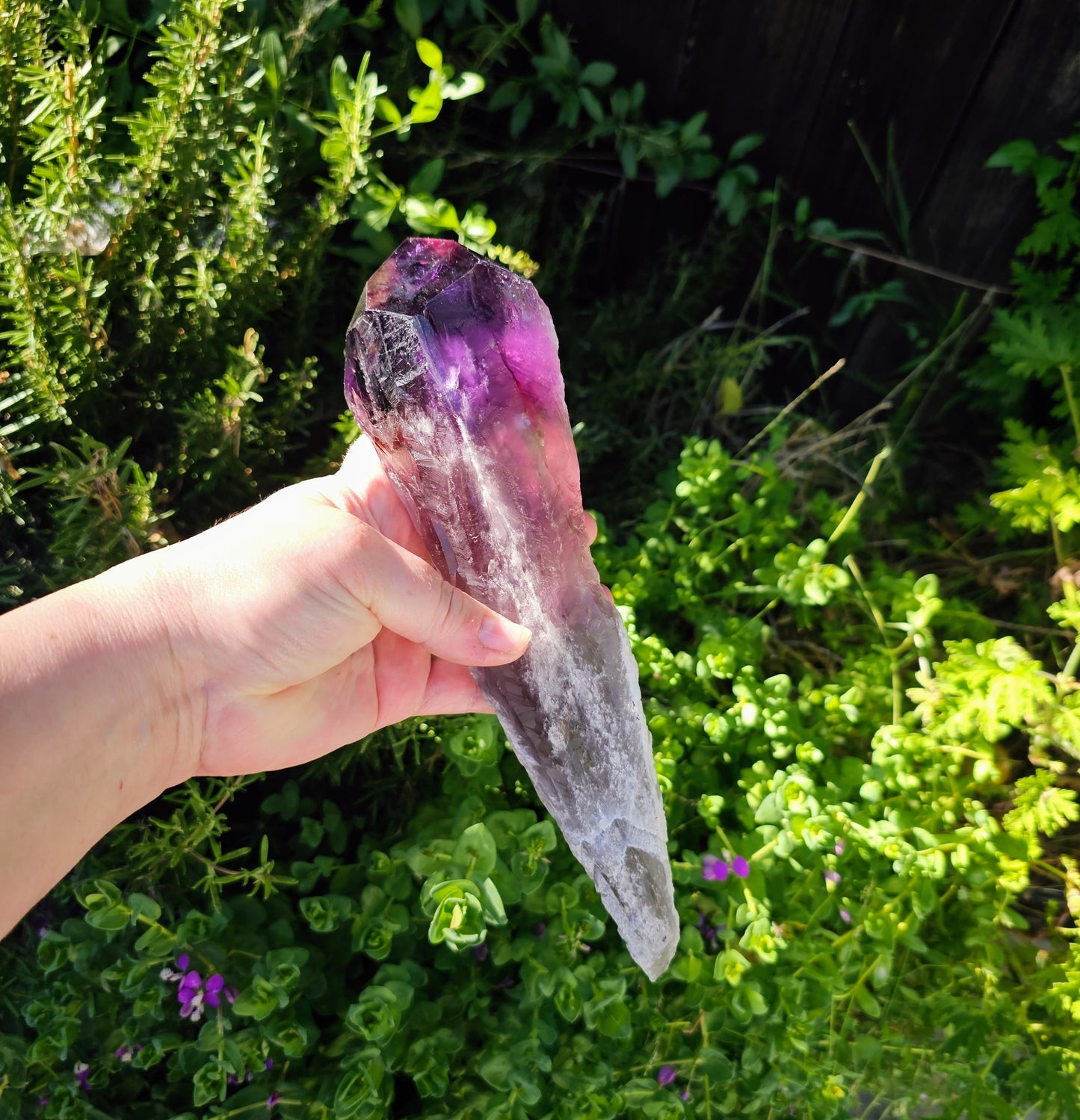 Elestial Amethyst Root Point - Natural Healing Crystal