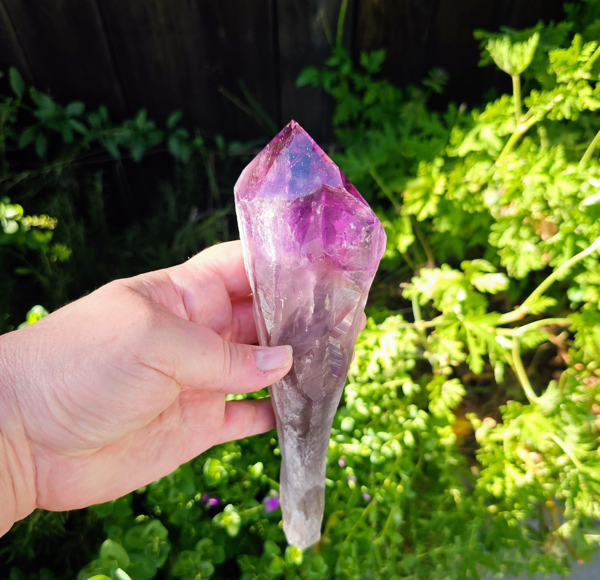 Elestial Amethyst Root Point - Natural Healing Crystal