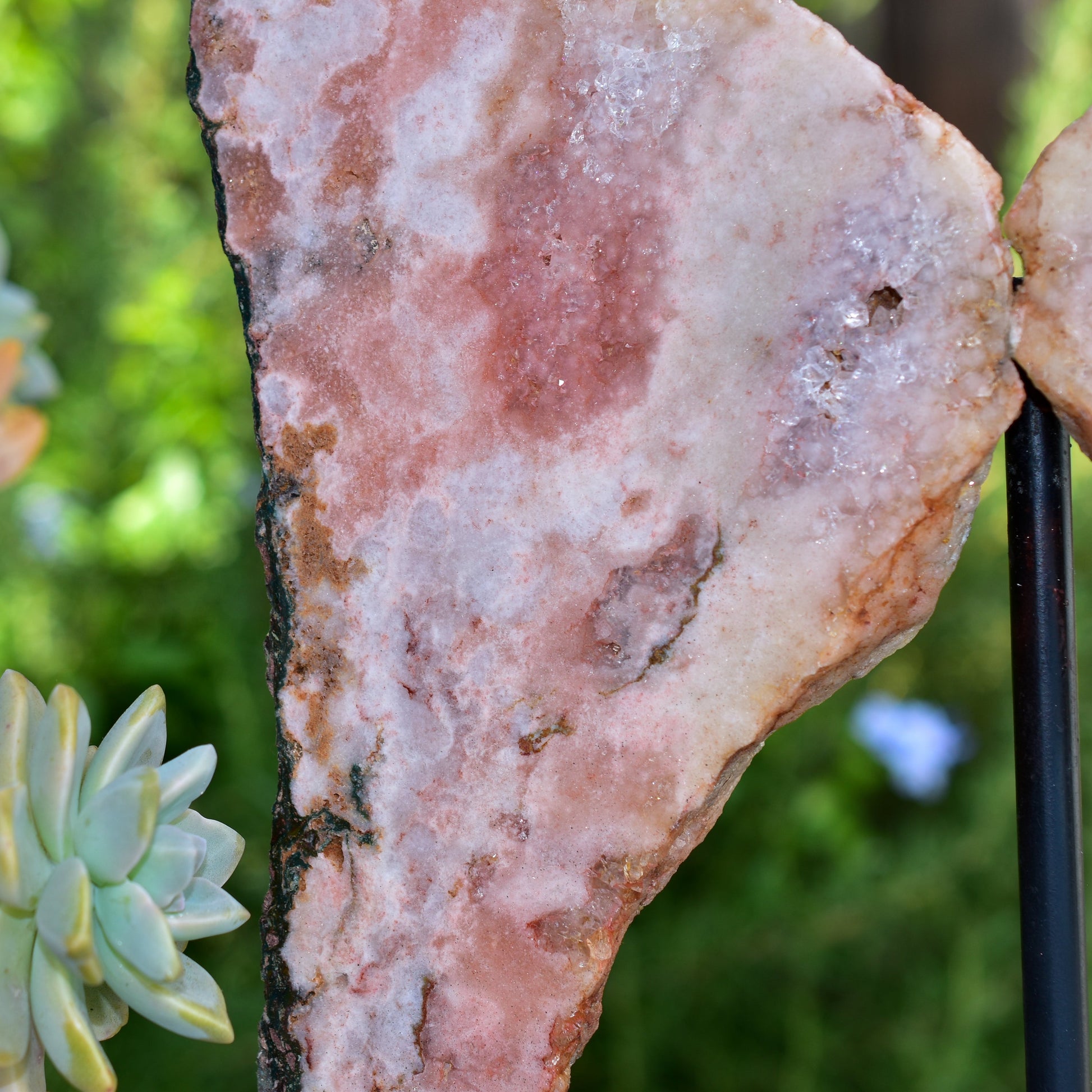 Pink Amethyst Angel Wings - Crystal Decor on Metal Base