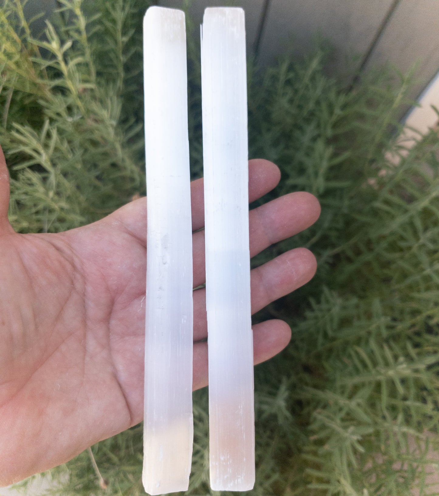 Selenite Sticks 8" - Natural Crystal for Energy Cleansing